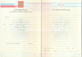 Аттестат за 9 класс 2007-2010 в Новошахтинске